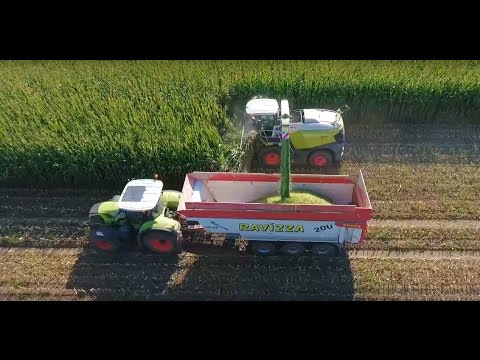 NEW CLAAS JAGUAR 970  MODEL 2017 / 2018 -  CHOPPING CORN 2016