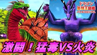状態異常の応酬！激闘のシルバー大会を制するのはどちらなのか [ドラゴン最強王図鑑バトルコロシアム 実況] #3