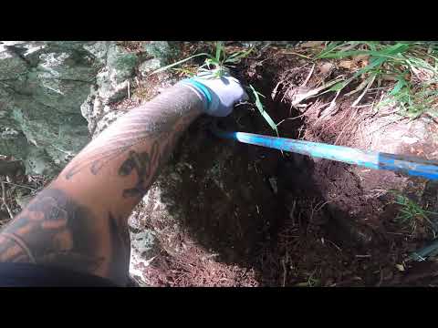 I opened a treasure chest and found an incredible golden statue!! We found a very big treasure.