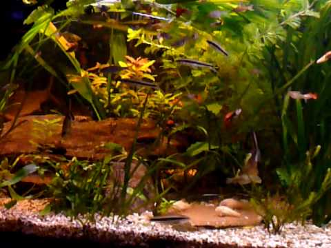 Mitt 600 liters sätt i vad du tycker om projekt