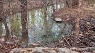 the artist-the hush sound.