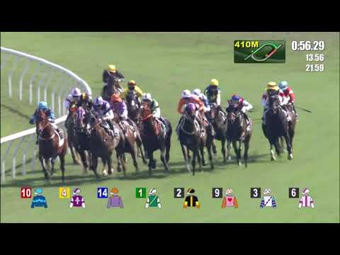 8/5/2021 (657) Peach Blossoms - K Teetan