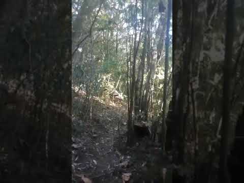 Mawma tla liata Zunai a y pa