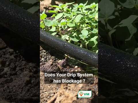 Drip Cleaner Soil Additive