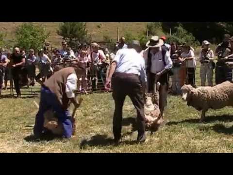 Brieva de Cameros día de la Trashumancia 2011