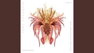 Some Things (Animal Trainer Remix)