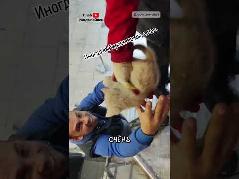 Он Сам Их Выбрал 🥹