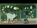 wild Kratts - lemur stink fight - full episode in English - Kratts series