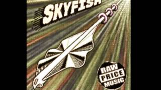 Skyfish - Skimming feat. Kan & Juny(Neo Tokyo Bass remix)