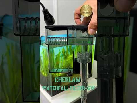 Testing The Cherlam Waterfall Filter - 6Watt #aquarius #shortsvideo #aquascape #pets #fish