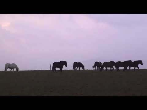 Princ€ss - In My Head (Official Video)