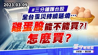 【量子戰情室】#陳武傑 0309 #三分鐘護台股 全台蛋災持續延燒…雞蛋股能不能買?!怎麼買? (圖)