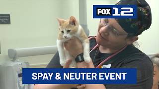 Oregon Humane spays and neuters over 300 pets at Portland, Salem event