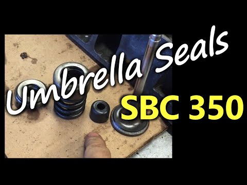 SBC Strip down Part 3   Umbrella valve seals