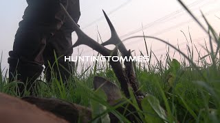 Bockjagd in der Eifel ( Blattzeit )