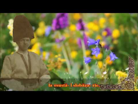Cânćicu 'lu Pâatru voińicu-  Moșu Bâz (Slobodan Marković)