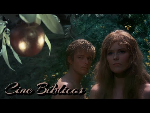 Miniatura do Episódio 13