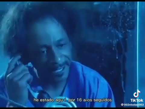 De quién es ese bebé blanco 🤣🤣