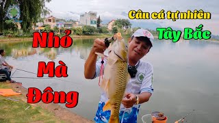 GIẬT MỎI TAY VẪN CHƯA ĐỦ ĂN - HỒ THUỶ SƠN - LAI CHÂU