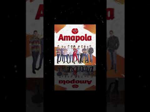 AMAPOLA - CLASICOS MIX  (DISCO LA BOMBA)