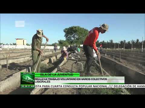 Cuba: Recuerdan en Isla de la Juventud primer trabajo voluntario