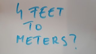 4 feet to meters