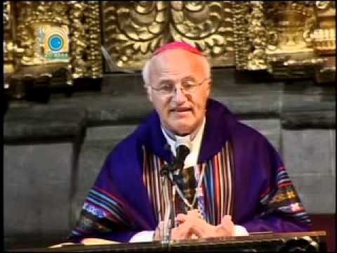 Homilía Mons. Eugenio Scarpellini, Strio . Gral. CEB Domingo 11 diciembre 2011 La Paz
