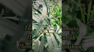 Download lagu Terima kasih suamiku mp3 Download lagu Terima kasih suamiku mp3