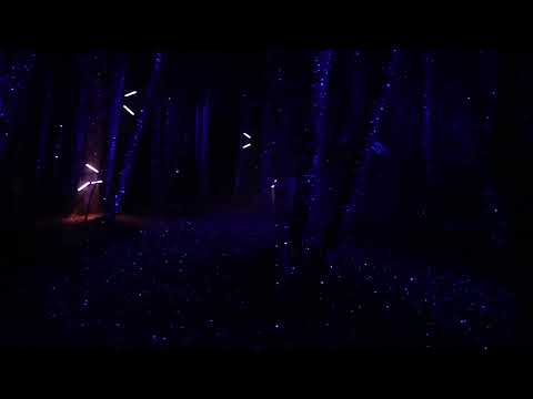 2-2-15. 특집_ 근교여행 Les Gets, Alta Lumina,France #Shorts