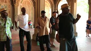 Video thumbnail of "must-see! “Stand by Me” Cover Story  （Acapella Soul） Wonderful！New York  Central Park"