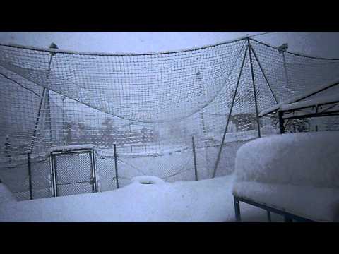 10 febbraio 2012.AVI