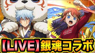 【パズドラ】昼寝して起きたらこの時間でびっくり生配信！【スー☆パズドラ】