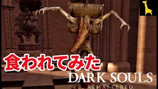 【ダークソウル リマスター】字幕実況#15 センの古城 ボス アイアンゴーレム アノール・ロンド