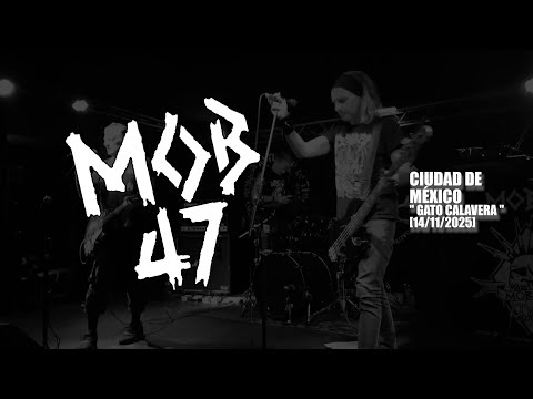 MOB 47 [14-11-2025 / GATO CALAVERA, CDMX]