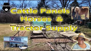 #Tractorsupply, Horses & Cattle Panels - #catshobbycorner