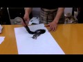 Cómo pintar un dragón. Nivel experto.