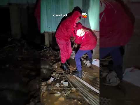Chuvas no RS: Cachorro é salvo por bombeiros em área alagada durante temporal em Erechim