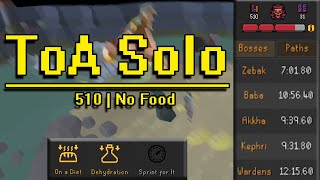 Solo ToA: 510 Invocation | No Food (full run)
