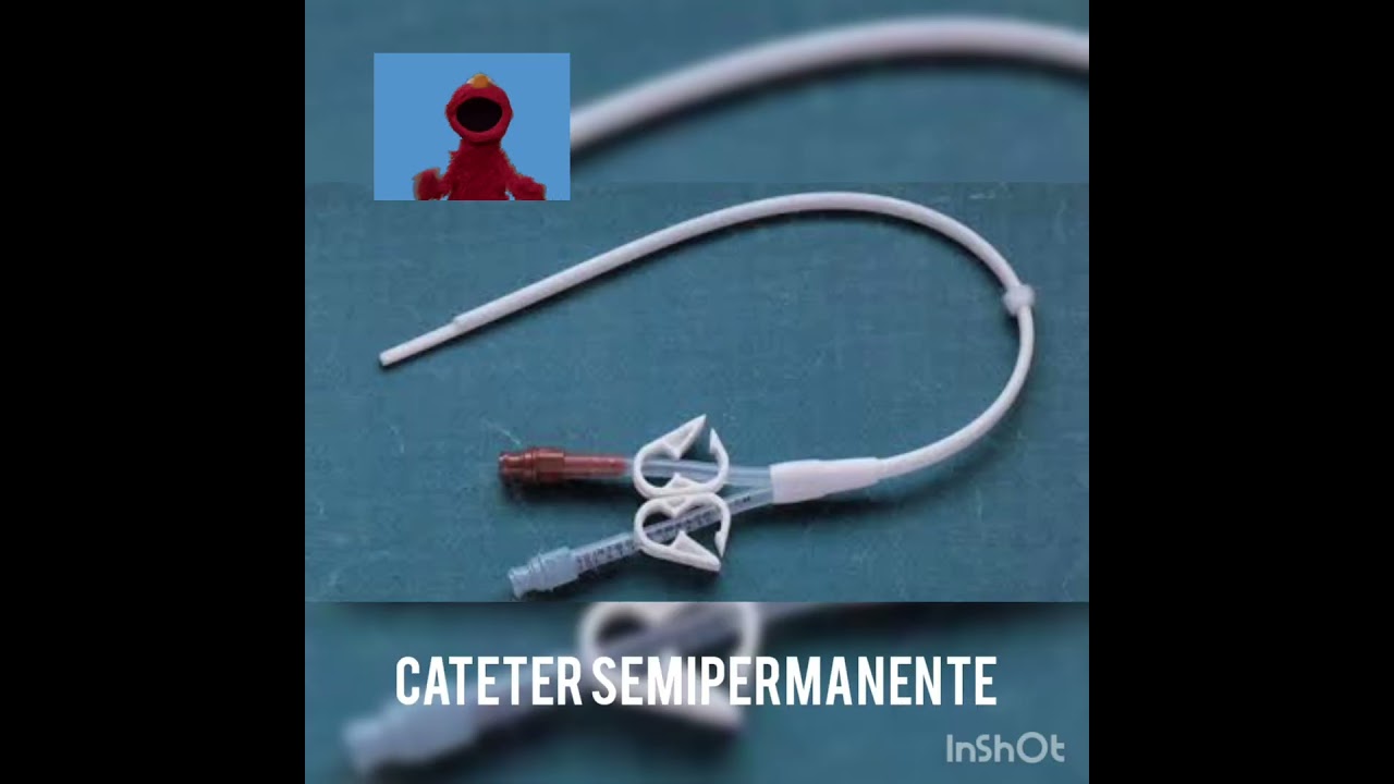 Dulce Paola Grajales Garcia-8