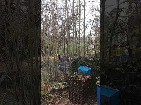 Testalarm 08.12.2022