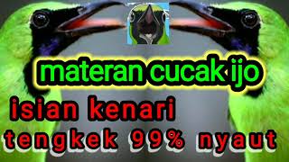 Download lagu masteran cucak ijo 2021 || isian kenari tengkek full nyaut mp3
