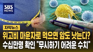 위고비 마운자로 먹으면 암도 낫는다?..수십만 명에서 확인 "무시하기 어려운 수치" (자막뉴스) / SBS