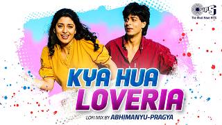 Kya Hua Loveria Hua Lofi Mix | Raju Ban Gaya Gentleman | Alka Yagnik, Kumar Sanu, Jolly Mukherjee