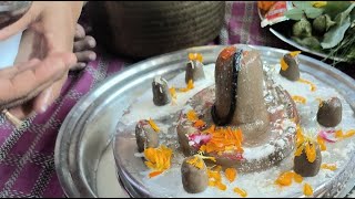 Pandit Anil shastri ji hsp is live द्वितीय दिवस पार्थिव पूजन