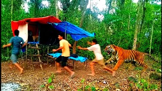 Download lagu AUMAN HARIMAU TERDENGAR JELAS SAAT CAMPING 😱 siang paling menegangkan bikin badan gemetar mp3