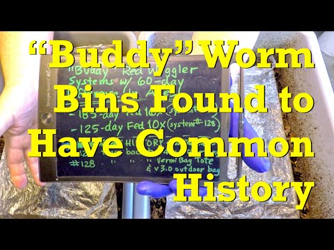 Interesting historical tidbit about "buddy" red wiggler worm bins - vermicompost