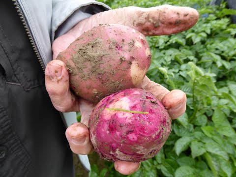 2020 WSCPR- Skagit Valley tour