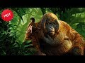 Mogli O Menino Lobo 2016 Dublado Melhores Cenas 4K
