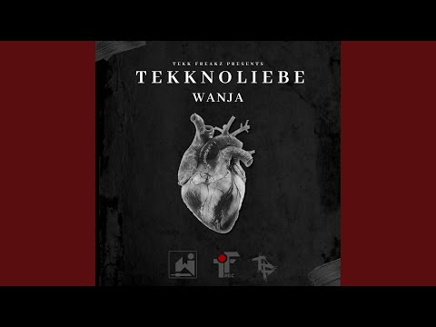 Tekknoliebe
