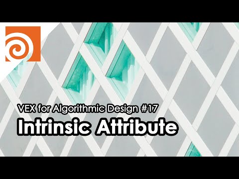 [VEX for Algorithmic Design] E17 _ Intrinsic Attribute